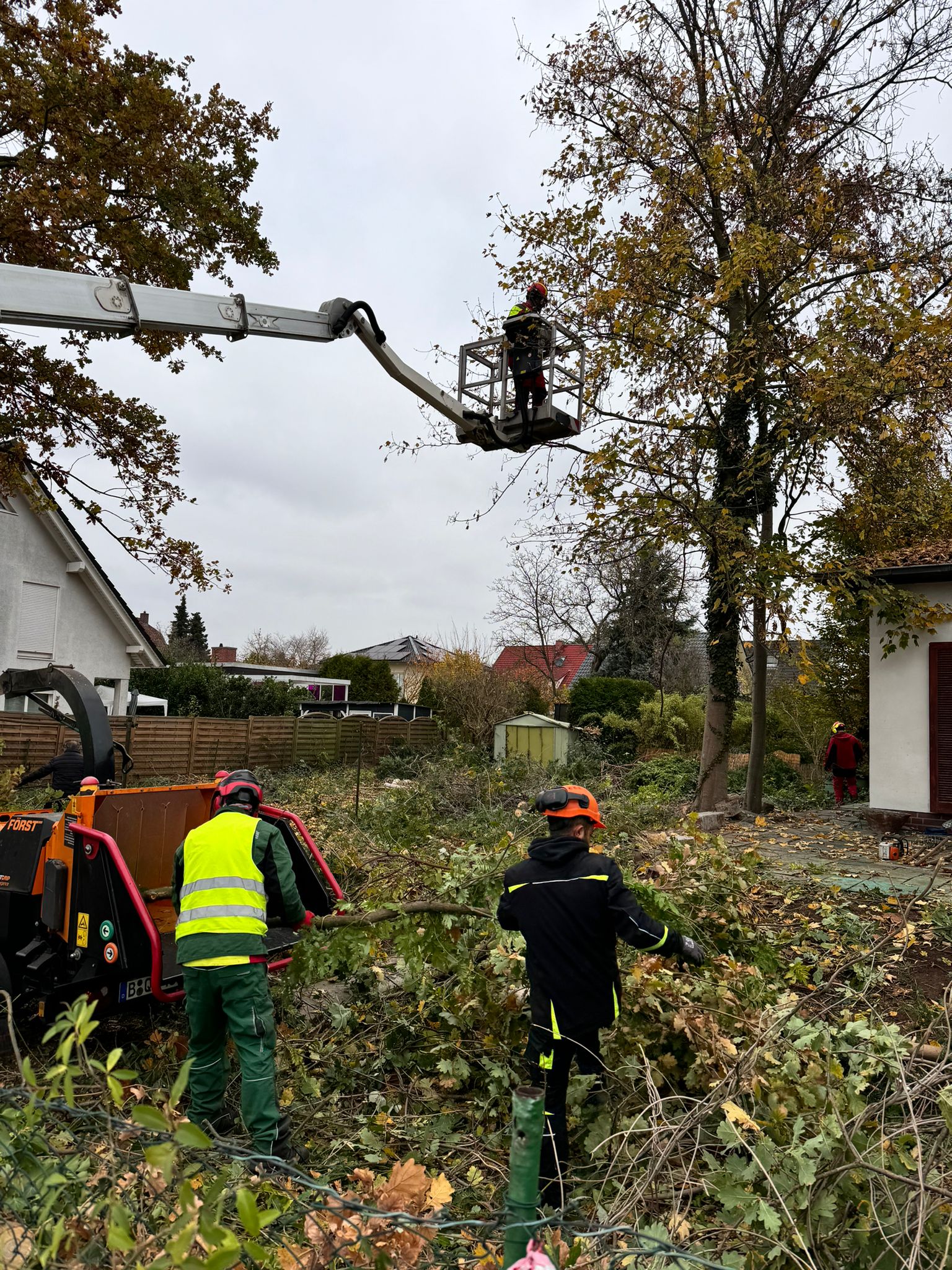 Baumarbeiten Bild 2